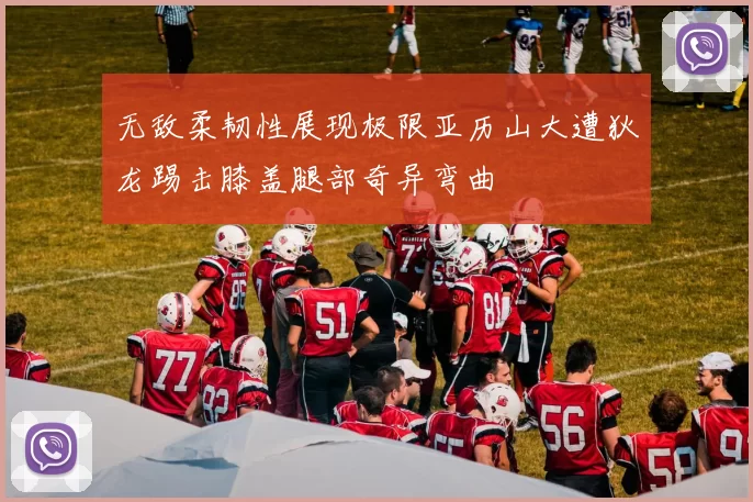 无敌柔韧性展现极限亚历山大遭狄龙踢击膝盖腿部奇异弯曲
