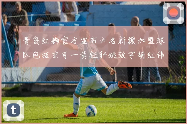 青岛红狮官方宣布六名新援加盟球队包括宗可一黄钰轩姚致宇胡红伟等人